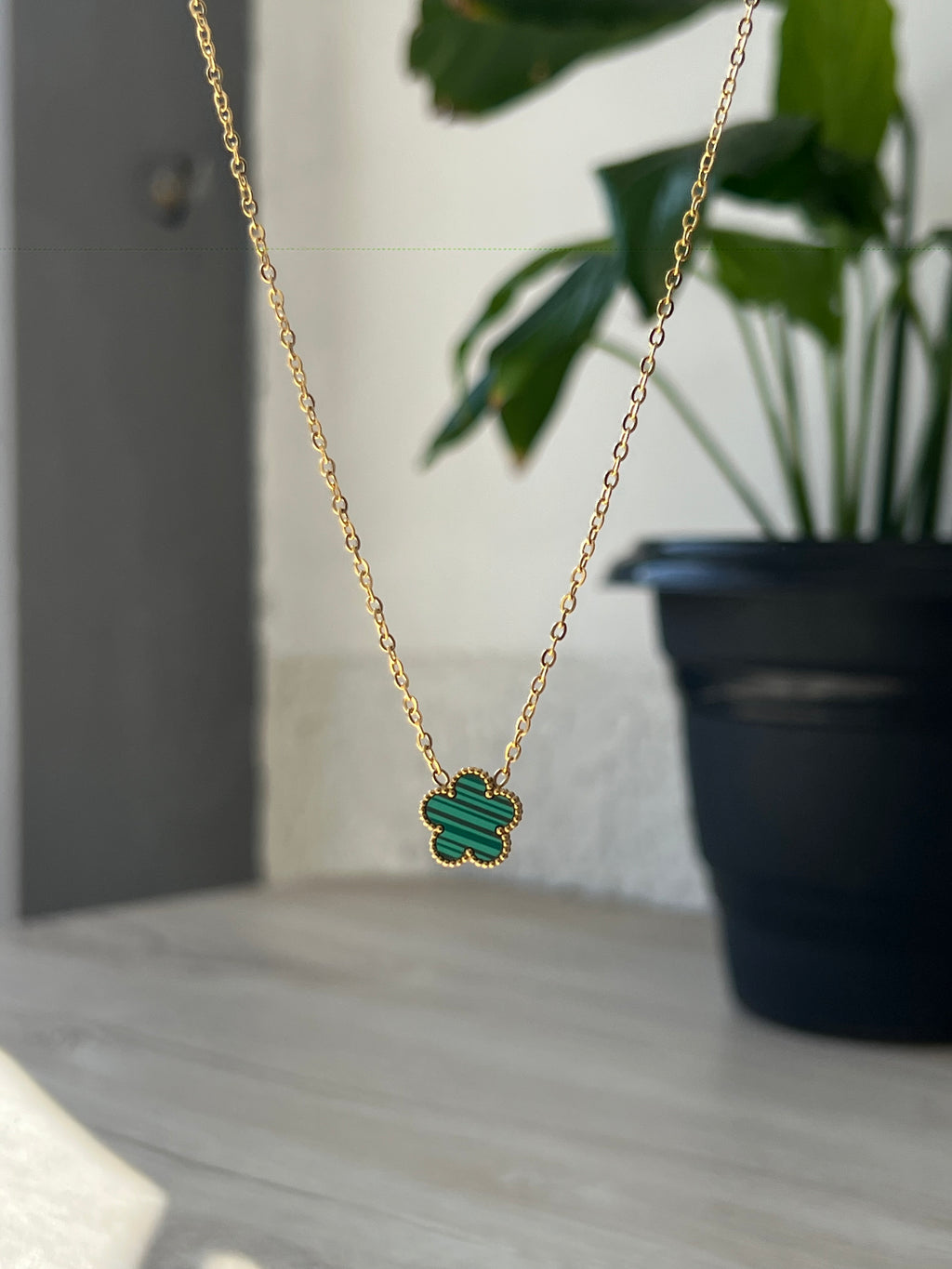 Collar Cleef