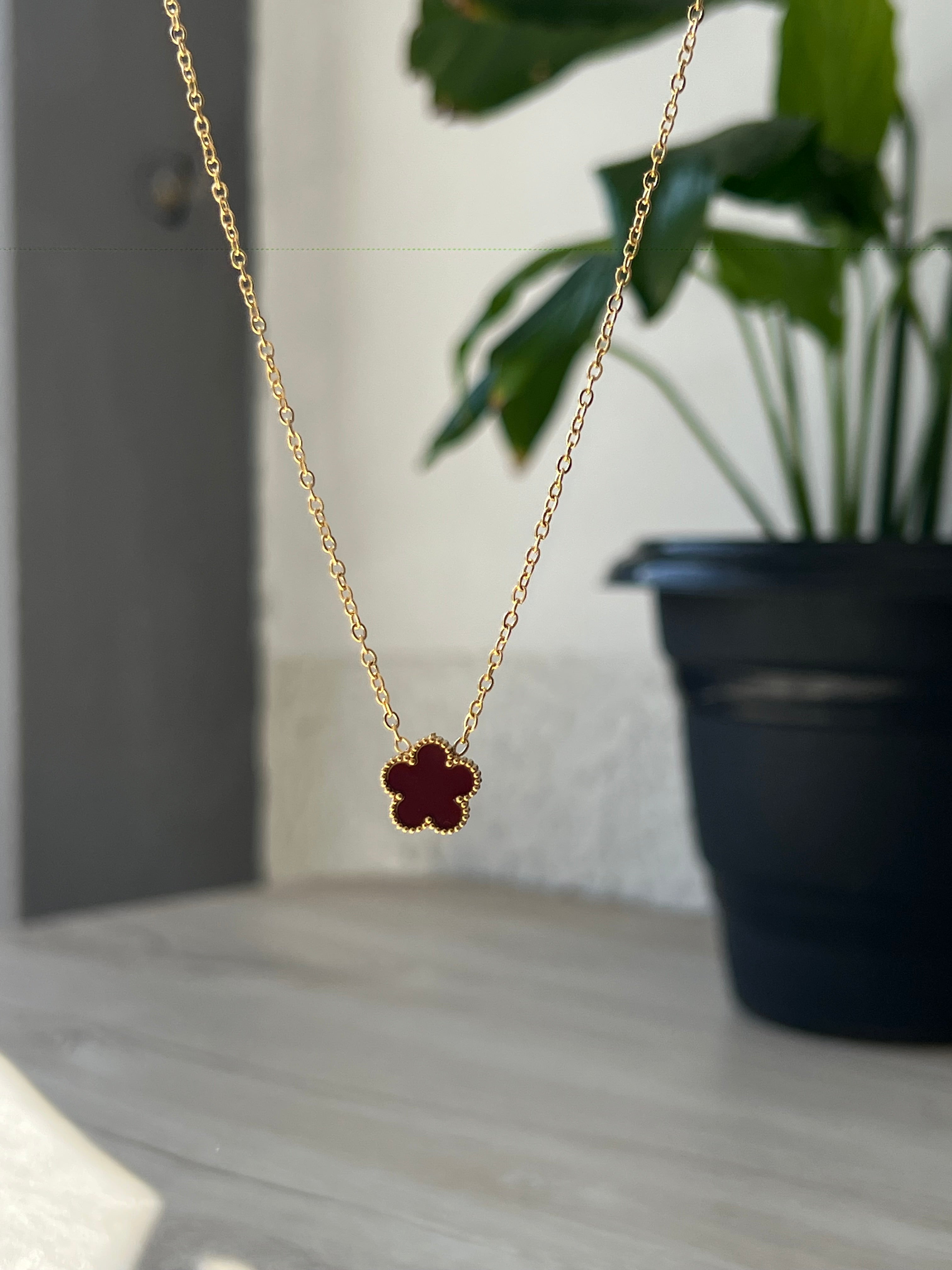 Collar Cleef
