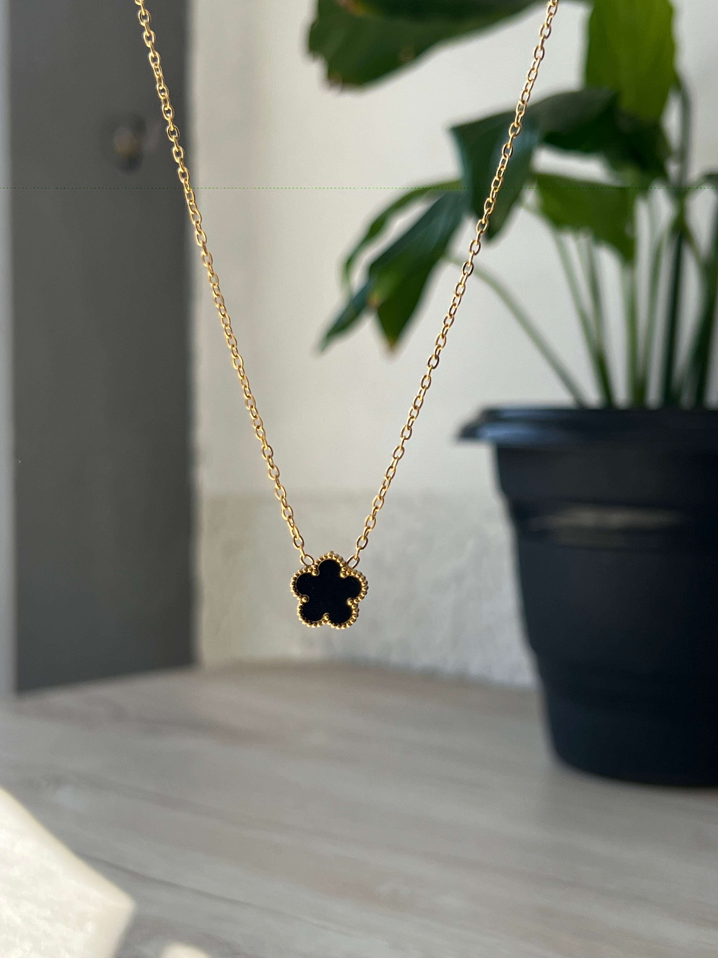 Collar Cleef